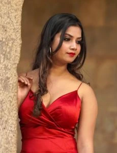 call girl service in Ramesh Nagar